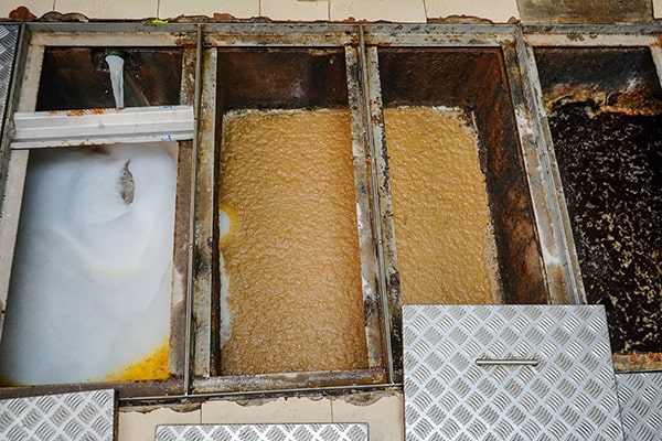failure to comply with grease trap maintenance regulations can result in fines, business closures, and environmental damage